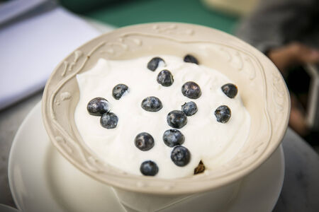 Cereal   porridge   muesli with fresh blueberries and yogurt の写真素材