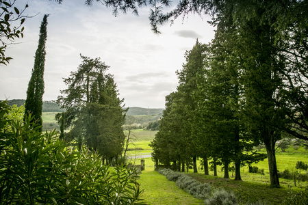 Tuscany near Florenceの写真素材