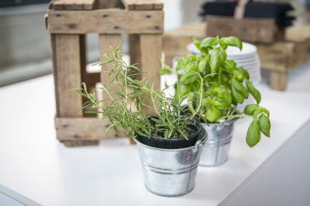 Decoration catering with rosemary and basilの写真素材