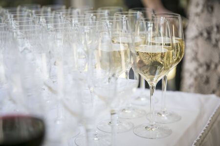 Glasses with white wine / catering & service