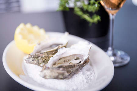 Fresh oysters on salt with a glass of rosÃ© wineの写真素材