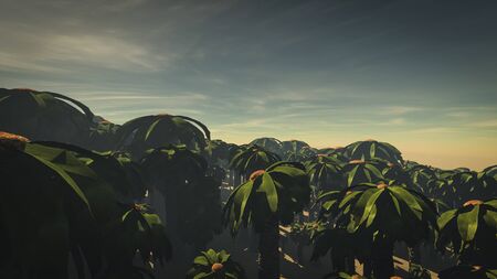 Palm Forest 4の写真素材