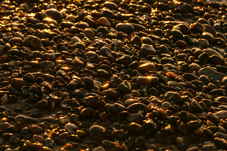 Wet golden stones on a sunset beach.の写真素材