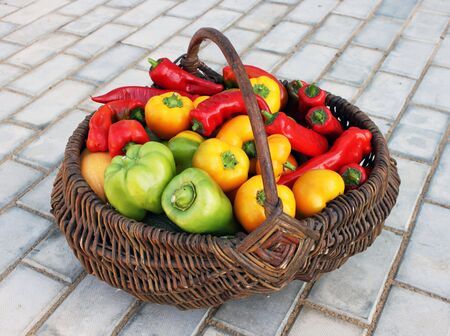 Crop of vegetables in an old basket on a patioの写真素材