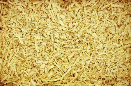 Shavings obtained during the processing of woodの写真素材