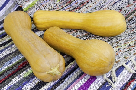 Three muscat pumpkin on a colorful matの写真素材