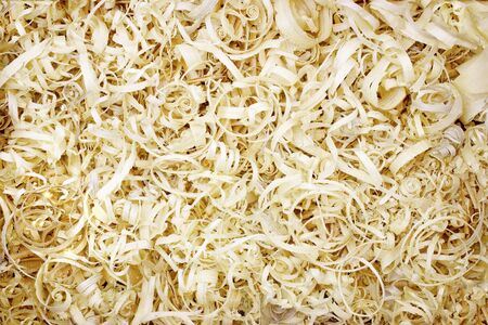 Background of wood shavingsの写真素材