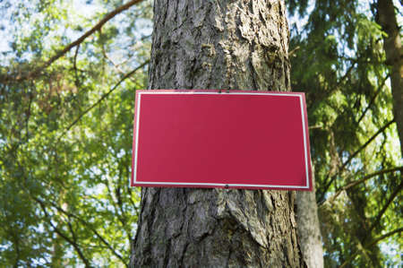 Red metal plate is established on  wood gladeの写真素材