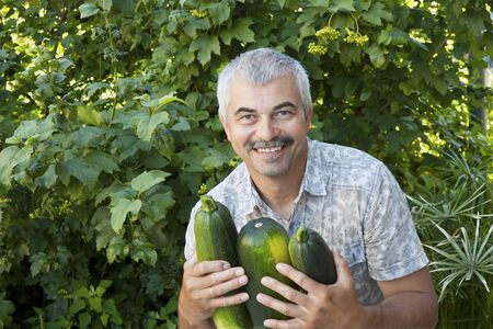 Satisfied man with three zucchini in gardenの写真素材