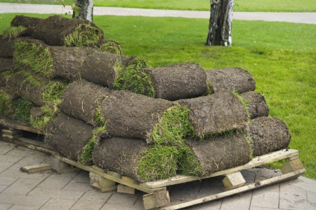 Lawn grass twisted into rolls prepared to workの写真素材