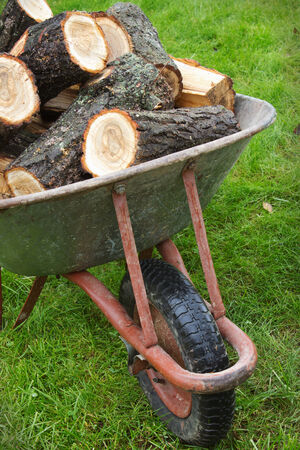 An old wheelbarrow full of firewood on a  lawnの写真素材