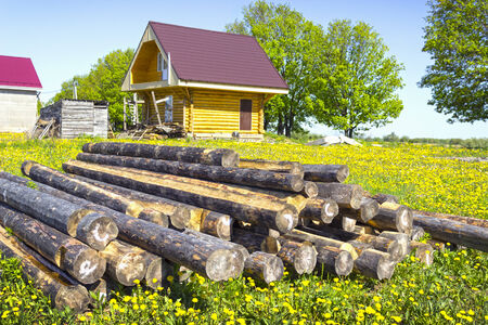 Wooden house in the meadow with dandelions  Completion of constructionの写真素材