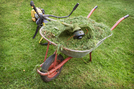 wheelbarrow with grass and petrol trimmer on the lawn