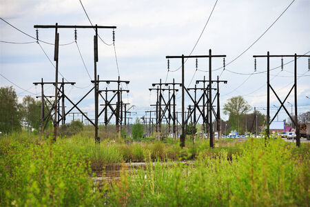 Conglomeration old timber supports high-voltage line