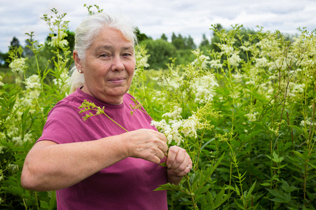 Woman in the summer picking flowers  meadowsweetの写真素材