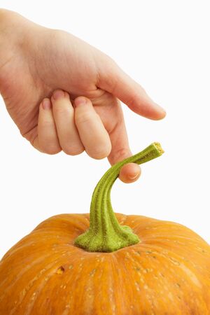 Hand holding a large pumpkin for the tailの写真素材