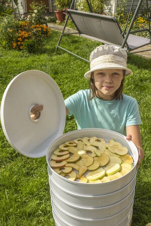 Girl holding cover electricdryer with green, yellow delicious dry homemade pieces appleの写真素材