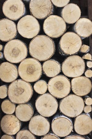 Birch logs are stacked. We see end faces. Backgroundの写真素材