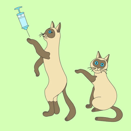 Animal vaccine testing. Injection with virus. Research into the effects of a new drugのイラスト素材
