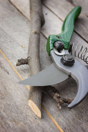 Garden pruner with plastic green handles on a wooden table. Graftageの写真素材