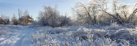 Panorama of snow-covered terrain on the outskirts of the village on a frosty winter evening. December. Russiaの写真素材