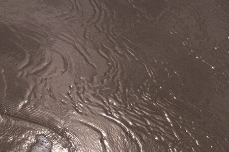 Water in sand, Baltic sea beach. Autumn middayの写真素材
