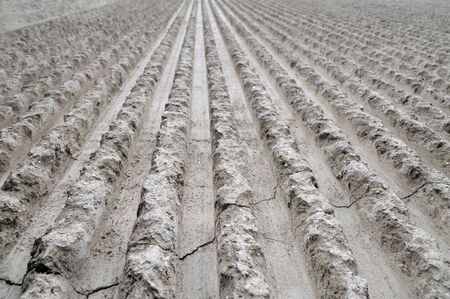 Concrete wall in the long term, decorated with parallel linesの写真素材