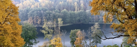 Beautiful autumn park and Asveja lake panoram in の写真素材