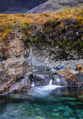 Mountain ash tree in Fairy Pools, Glen Brittle, Isle of Skye, Inner Hebrides, Highlands, Scotlandの写真素材