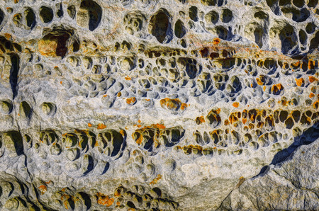 Elgol honeycomb. Beach of Isle of Skye, Scotland, United Kingdomの写真素材