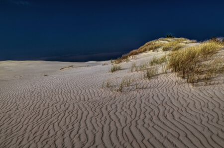 Moving sand dunes at Slowinski National Park near Leba, Pomeranian Voivodeship, Poland.の写真素材