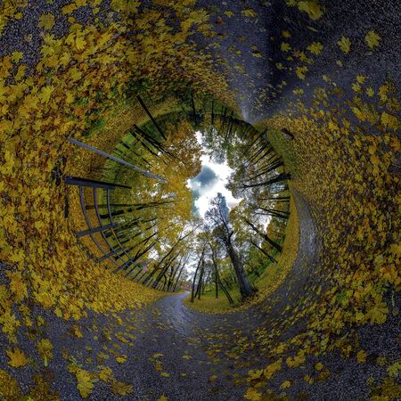 The autumn park of planet . Park road in a old manor site