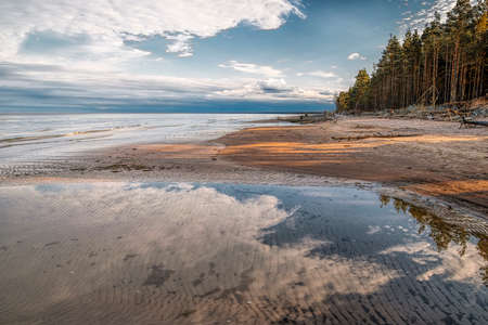 Gulf of Riga, cape Kolka. Cape Kolka  is a cape on the Baltic Sea, near the entry to Gulf of Riga, on the Livonian coast, in the Courland Peninsula of Latvia.の写真素材