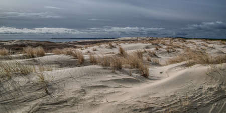 The Curonian lagoon and Curonian spit, near Nida, Lithuania. Nature landscape at a march month time. Cloudscape. Selective focus.の写真素材