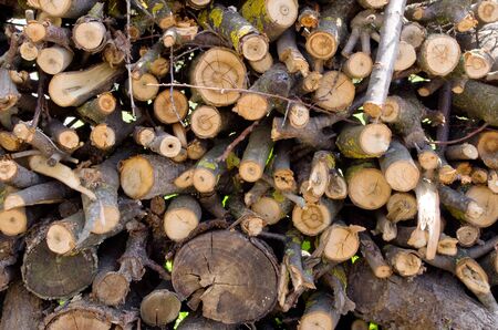 Stack of woodの写真素材