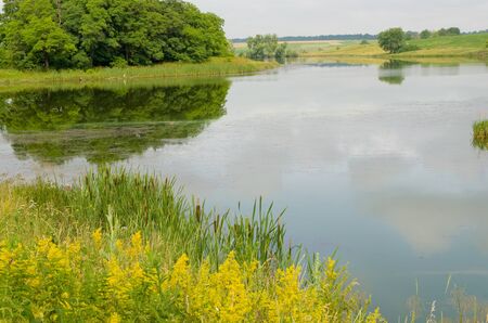 Landscape of lake in summerの写真素材