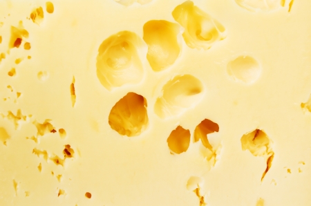Cheese backgroundの写真素材