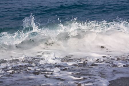 Marine surfの写真素材