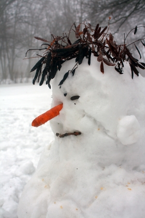Melting snowmanの写真素材