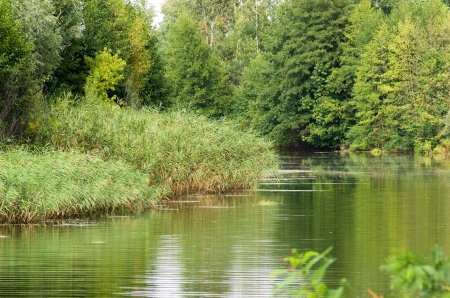 The banks of a quiet river in autumnの写真素材