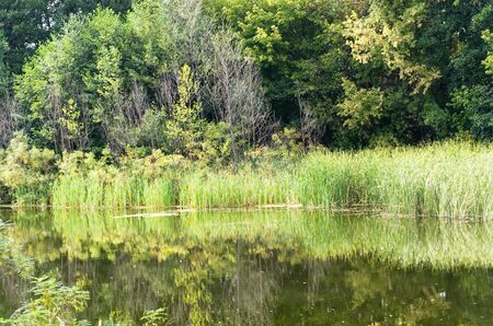 The banks of a quiet river in autumnの写真素材