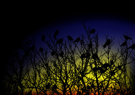 Crows on a treeのイラスト素材