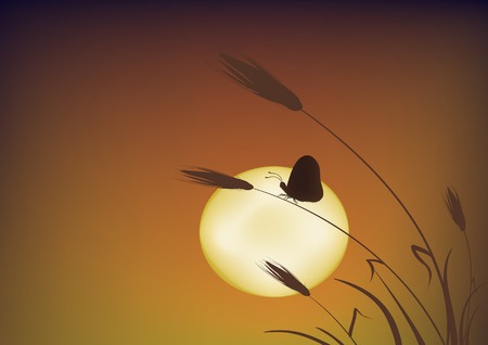 Butterfly sitting on the ear of wheat at sunsetのイラスト素材