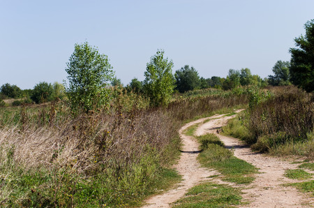 Dirt road in a fieldの写真素材