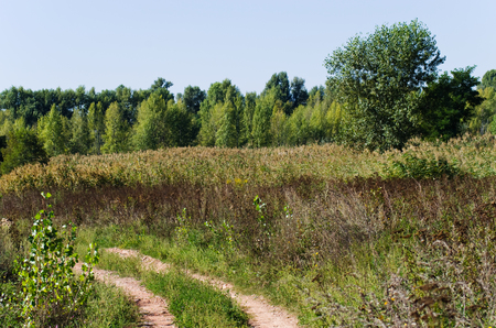 Dirt road in a fieldの写真素材