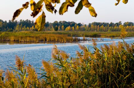 Quiet river in autumn at sunriseの写真素材