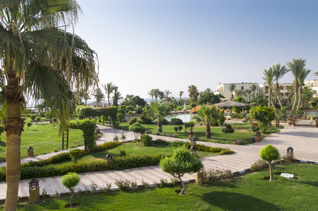 Green area of ??the hotel by the seaの写真素材