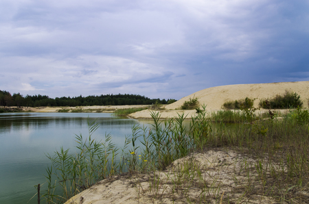 Lake with sandy beaches in a coniferous forestの写真素材