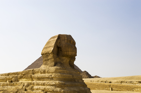 A large sphinx in the background of the pyramids in Gizaの写真素材