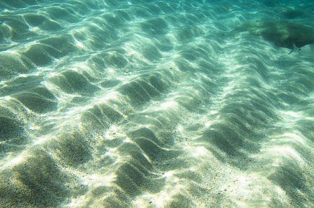 Sandy bottom of the Mediterranean Seaの写真素材
